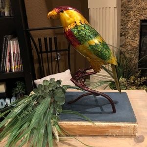 Jimmy Buffet Key West Macaw Parrot Margaritaville Figure, 13 Inches Tall